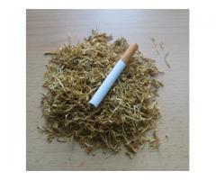 tyton papierosowy VIRGINIA GOLD tel. 785-405-946 !! SUPAER JAKOŚĆ !!! 