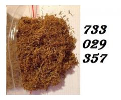 Tytoń Tyton bardzo dobrej jakości 85zł kg 733-O29-357 Próbka Wysyłka 24 H 
