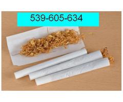 Rewelacyjny tytoń,tyton 539-605-634