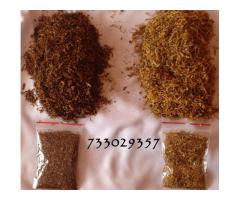 Czysty i pachnący tytoń,tyton po fermentacji 733-O29-357